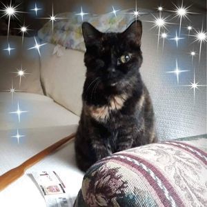 Meet your Posher, Mary jane